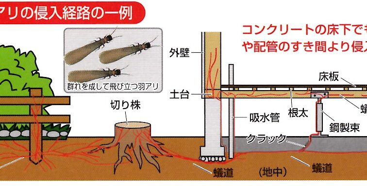 シロアリ防除の再工事