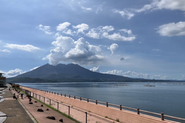 熊本城 宇土櫓 パート5 復旧にて